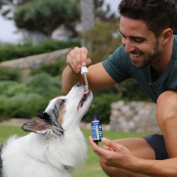 Huile hydrosoluble pour animaux